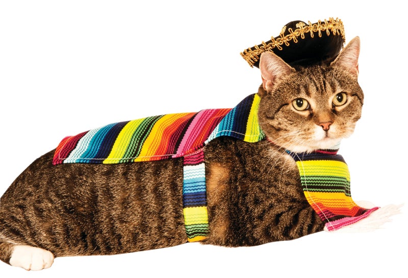 Rubies Serape and Hat Pet Costume Pet Costume for Dogs or Cats, Large - Image 4